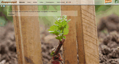Desktop Screenshot of champagne-marguet.fr